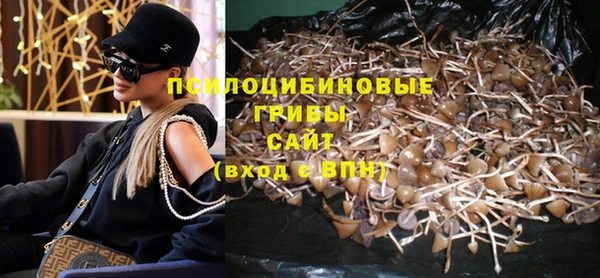 дживик Алексеевка