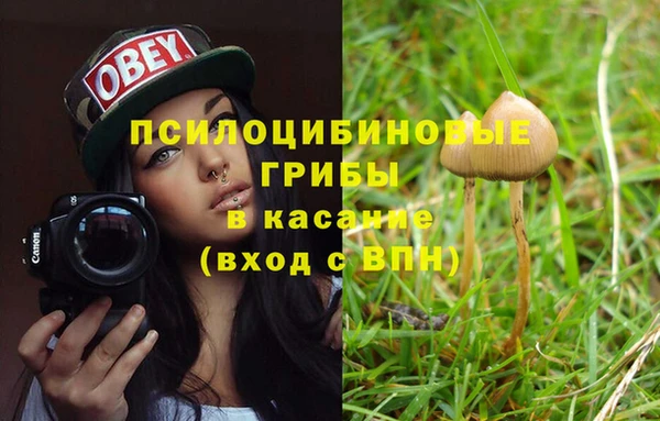 дживик Алексеевка