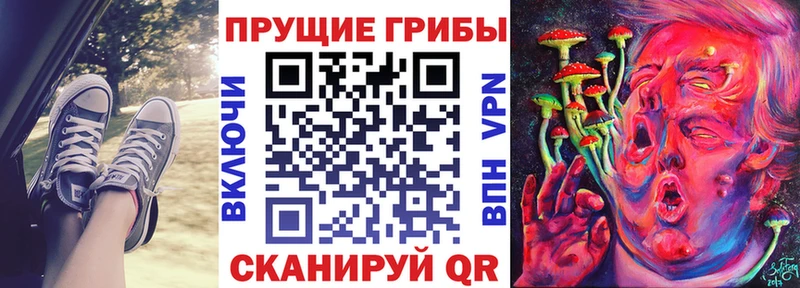 Псилоцибиновые грибы Psilocybe  Елец 